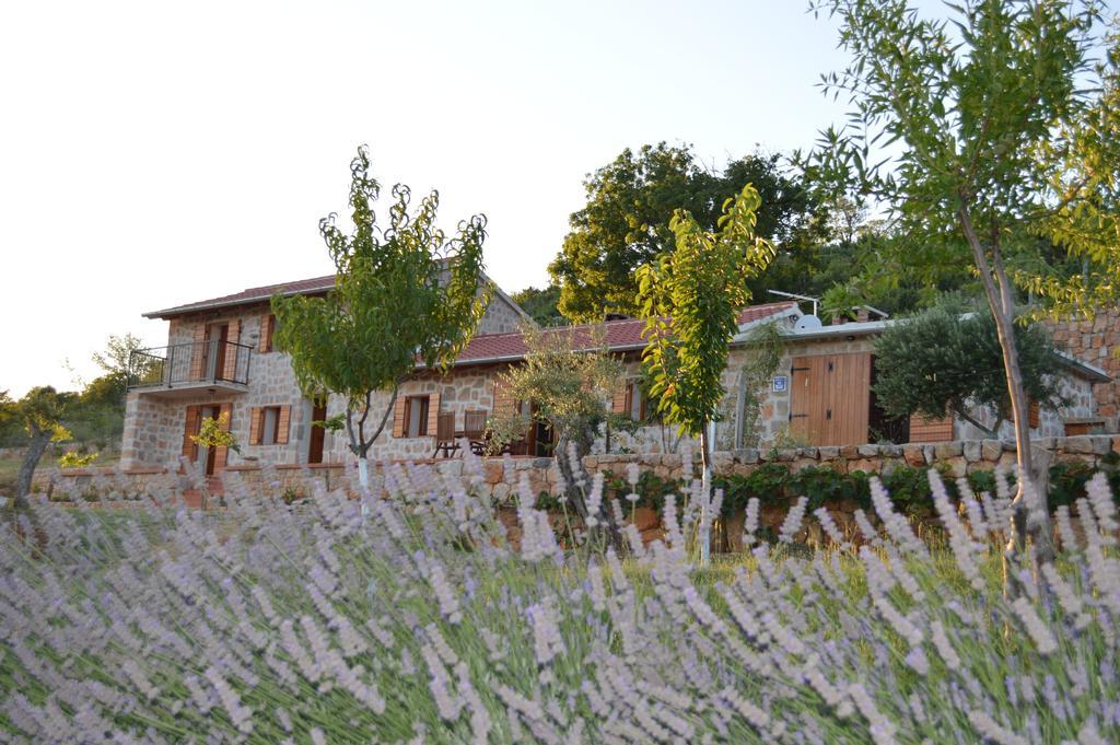 Villa Mara - Secluded House With Breathtaking View- Seline, Starigrad Paklenica Exteriér fotografie